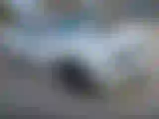 Vehicle Image- 2023 Dodge Challenger