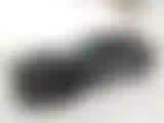 Vehicle Image- 2023 Dodge Challenger