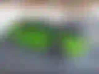 Vehicle Image- 2017 Dodge Challenger