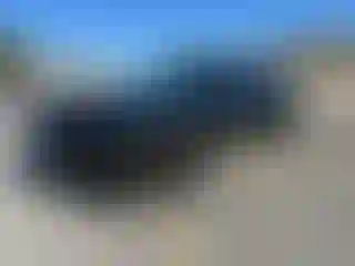 Vehicle Image- 2020 Dodge Challenger