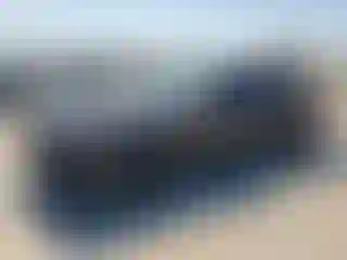 Vehicle Image- 2022 Dodge Challenger