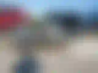 Vehicle Image- 2019 Dodge Challenger