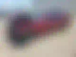 Vehicle Image- 2021 Dodge Challenger