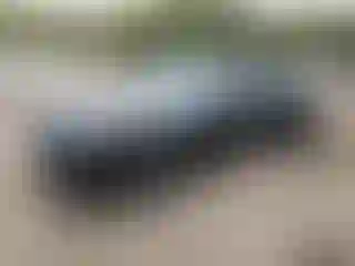 Vehicle Image- 2023 Dodge Challenger
