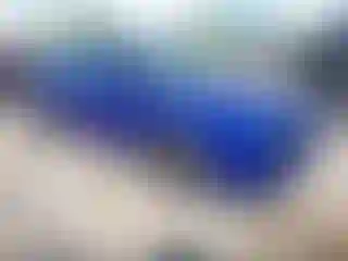 Vehicle Image- 2020 Dodge Challenger