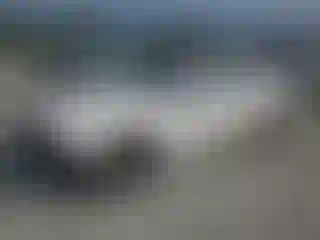Vehicle Image- 2018 Dodge Challenger