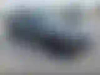 Vehicle Image- 2020 Dodge Challenger