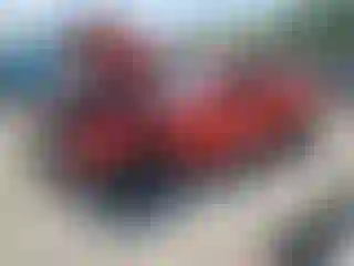 Vehicle Image- 2021 Dodge Challenger