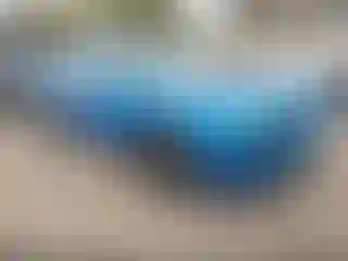 Vehicle Image- 2016 Dodge Challenger