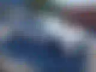 Vehicle Image- 2021 Dodge Challenger