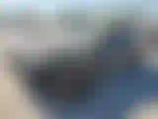 Vehicle Image- 2019 Dodge Challenger