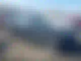 Vehicle Image- 2019 Dodge Challenger