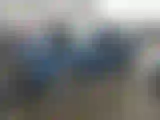 Vehicle Image- 2020 Dodge Challenger