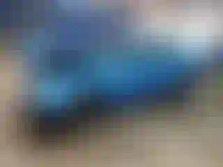 Vehicle Image- 2023 Dodge Challenger
