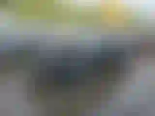 Vehicle Image- 2023 Dodge Challenger