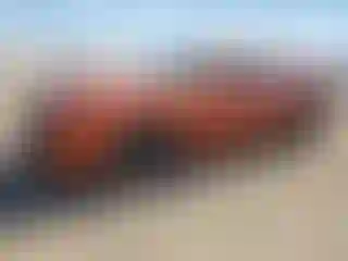 Vehicle Image- 2021 Dodge Challenger