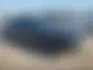 Vehicle Image- 2021 Dodge Challenger