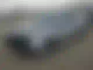 Vehicle Image- 2020 Dodge Challenger