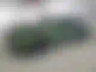 Vehicle Image- 2022 Dodge Challenger