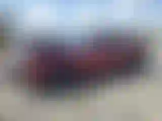 Vehicle Image- 2021 Dodge Challenger