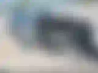 Vehicle Image- 2022 Dodge Challenger