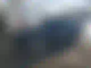 Vehicle Image- 2021 Dodge Challenger