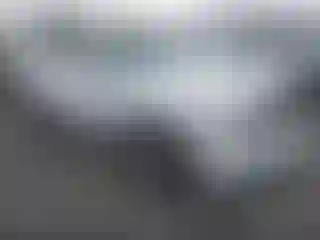 Vehicle Image- 2022 Dodge Challenger