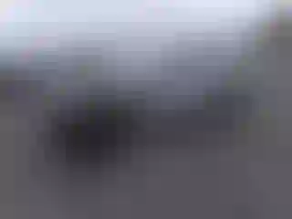 Vehicle Image- 2021 Dodge Challenger