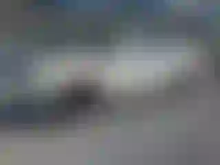 Vehicle Image- 2006 Chrysler 300