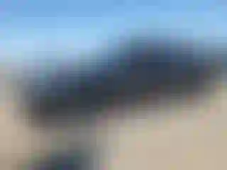 Vehicle Image- 2006 Chrysler 300