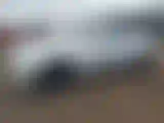 Vehicle Image- 2006 Chrysler 300