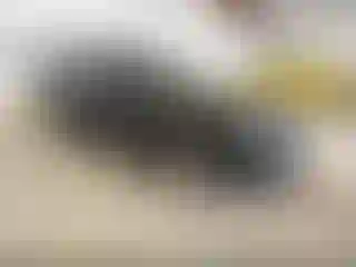 Vehicle Image- 2007 Chrysler 300C