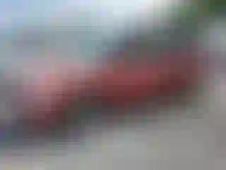 Vehicle Image- 2005 Chrysler Minivan