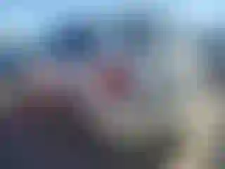 IMPORTOWO.pl