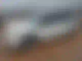 Vehicle Image- 2013 Dodge Caravan