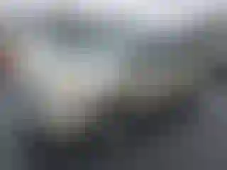 Vehicle Image- 2014 Dodge Caravan