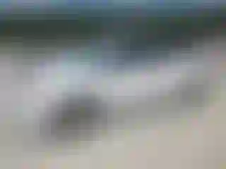 IMPORTOWO.pl