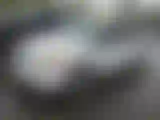 Vehicle Image- 2018 Dodge Caravan