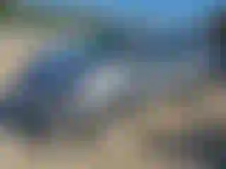 Vehicle Image- 2019 Dodge Caravan