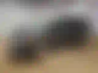 Vehicle Image- 2016 Dodge Caravan