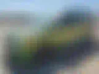 Vehicle Image- 2015 Dodge Caravan