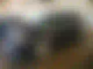 Vehicle Image- 2017 Dodge Caravan