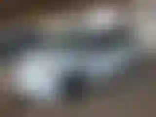 Vehicle Image- 2019 Dodge Caravan