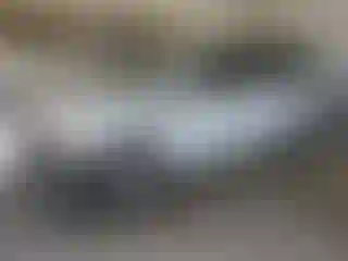 Vehicle Image- 2014 Dodge Caravan