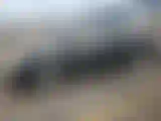 Vehicle Image- 2013 Dodge Caravan