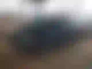 Vehicle Image- 2014 Dodge Caravan