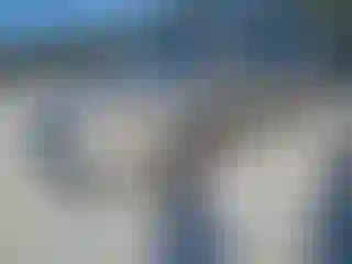 Vehicle Image- 2014 Dodge Caravan