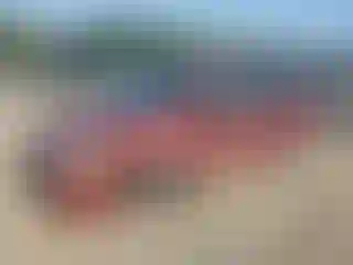 Vehicle Image- 2016 Dodge Caravan