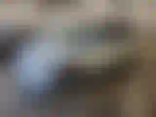 Vehicle Image- 2018 Dodge Caravan