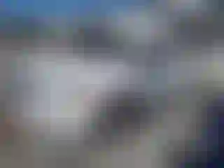 Vehicle Image- 2019 Dodge Caravan